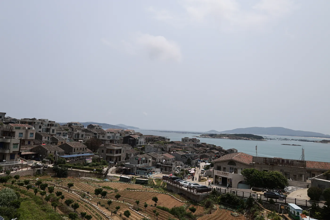 摆渡人团队活动：并肩成长，共享荣光