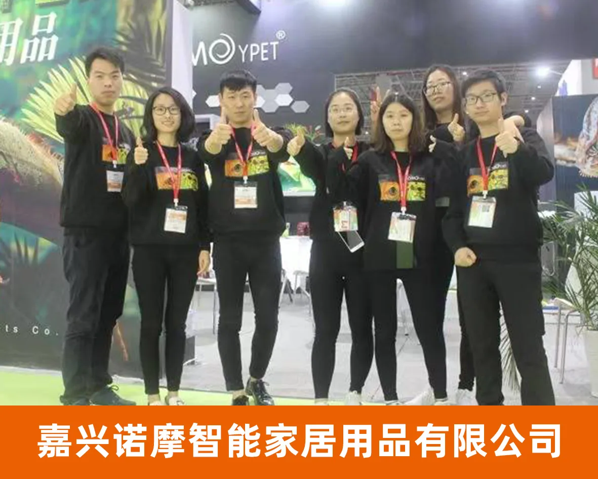 风云网商代表企业照片